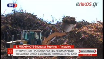 Καθαρίζεται από εύφλεκτα υλικά οικόπεδο στο Μάτι – ΒΙΝΤΕΟ