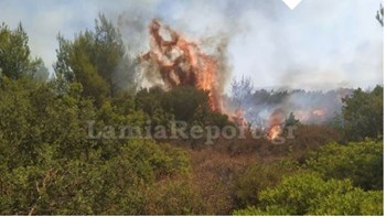 Οι πρώτες εικόνες από τη φωτιά στο Μαρτίνο Φθιώτιδας