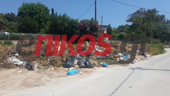 Κίνδυνος από μικρές χωματερές στην Αττική – “Βόμβα” οι σωροί από σκουπίδια, ξερά χόρτα και κλαδιά – ΦΩΤΟ αναγνώστη