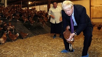 Ο Μπόρις Τζόνσον και οι… κότες – ΒΙΝΤΕΟ