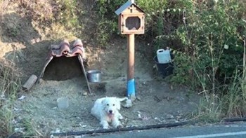 Άγνωστοι πήραν τον “Χάτσικο” της Ναυπάκτου – Τι γράφουν στο σημείωμα που άφησαν στο σπιτάκι του