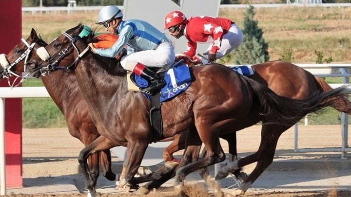 Markopoulo Park: Οι πέντε κορυφαίες ιπποδρομίες του Ιουλίου – BINTEO