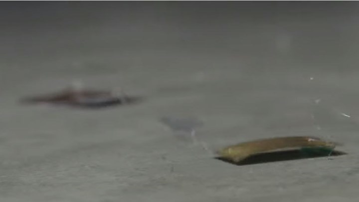 Δημιούργησαν ρομπότ- κατσαρίδα – Δεν παθαίνει τίποτα ακόμη και να το πατήσετε – ΒΙΝΤΕΟ