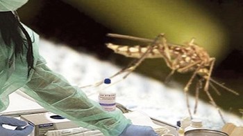 Δύο νεκροί από τον ιό του Δυτικού Νείλου στην Ελλάδα – Τι λένε οι επιστήμονες στο enikos.gr για τα μέτρα προστασίας