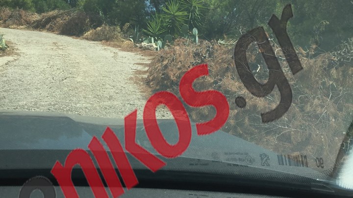 Καταγγελία αναγνώστη: ”Βόμβα” τα ξερά κλαδιά στην Κερατέα – Τι απαντά στο enikos.gr o δήμαρχος