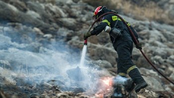 Μάχη με τις φλόγες στα πύρινα μέτωπα του Δομοκού- ΦΩΤΟ