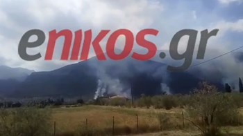 Μάχη με τις φλόγες στην Τιθορέα – ΒΙΝΤΕΟ αναγνώστη