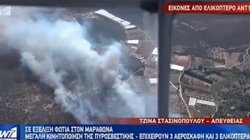 Οι πρώτες εικόνες από τη μεγάλη φωτιά σε δάσος στον Μαραθώνα – Επιχειρούν ισχυρές δυνάμεις της Πυροσβεστικής – ΒΙΝΤΕΟ