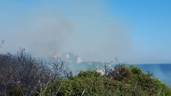 Οι πρώτες εικόνες από τη φωτιά στην Κεφαλονιά – ΦΩΤΟ