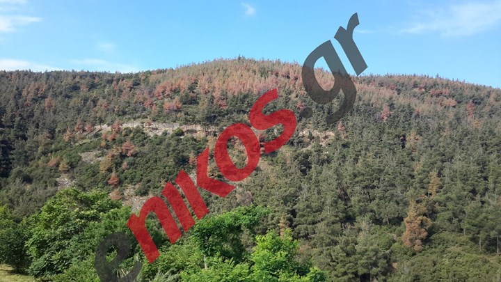 Απαγόρευση κυκλοφορίας στο Σέιχ Σου μέχρι την Τρίτη