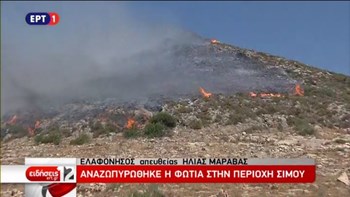 Αναζωπυρώθηκε η φωτιά στην Ελαφόνησο – Εκκενώνονται σπίτια και ξενοδοχεία – Τι είπε η δήμαρχος στο enikos.gr – ΒΙΝΤΕΟ