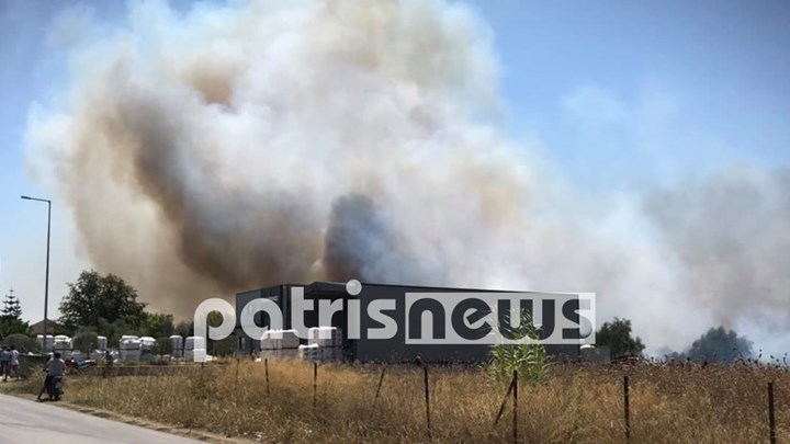 Οι πρώτες εικόνες από τη φωτιά στην Ηλεία – ΦΩΤΟ – ΒΙΝΤΕΟ