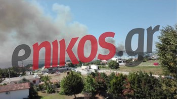 Νέες εικόνες από τη φωτιά στην Ηλεία – ΦΩΤΟ αναγνώστη