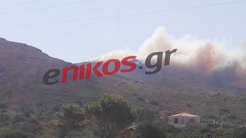 Υπό έλεγχο η φωτιά στην Ελαφόνησο – Εκτιμήσεις πως κάηκε το 25% του πρασίνου