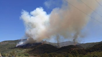 Οι πρώτες εικόνες από τη φωτιά στην Άρτα -ΦΩΤΟ