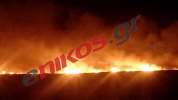 Σε εξέλιξη η φωτιά στο Μετόχι Αχαΐας  – ΦΩΤΟ αναγνώστη