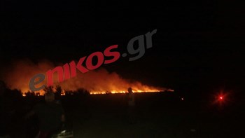 Υπό μερικό έλεγχο η φωτιά στο Μετόχι Αχαΐας