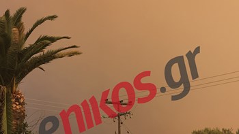 Συναγερμός για τη μεγάλη πυρκαγιά στην Εύβοια – Σε ετοιμότητα οι κάτοικοι σε τρία χωριά – Εκκενώθηκε Μοναστήρι –  ΦΩΤΟ αναγνώστη – ΒΙΝΤΕΟ