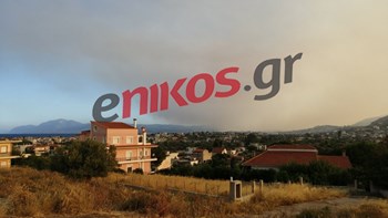 Οι πρώτες εικόνες από τη μεγάλη φωτιά στην Εύβοια – ΦΩΤΟ αναγνώστη