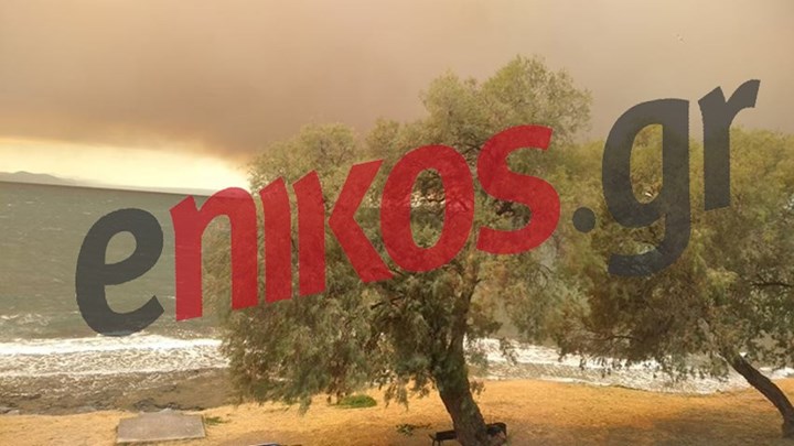 Πύρινη κόλαση στην Εύβοια: Οι φλόγες έφτασαν στα πρώτα σπίτια στο Μακρυμάλλη – Εκκενώθηκαν τρία χωριά – ΦΩΤΟ αναγνώστη – ΒΙΝΤΕΟ
