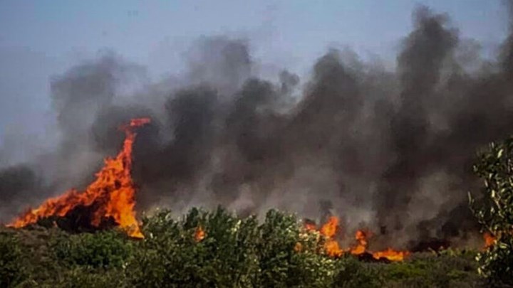 Ανεξέλεγκτη και η φωτιά της Θήβας – Κινείται προς τον Κορινθιακό κόλπο