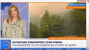 Συγκλονιστική μαρτυρία για τη φωτιά στην Εύβοια: Αυτό που γίνεται είναι αδιανόητο – Έχει γίνει η μέρα νύχτα – ΒΙΝΤΕΟ