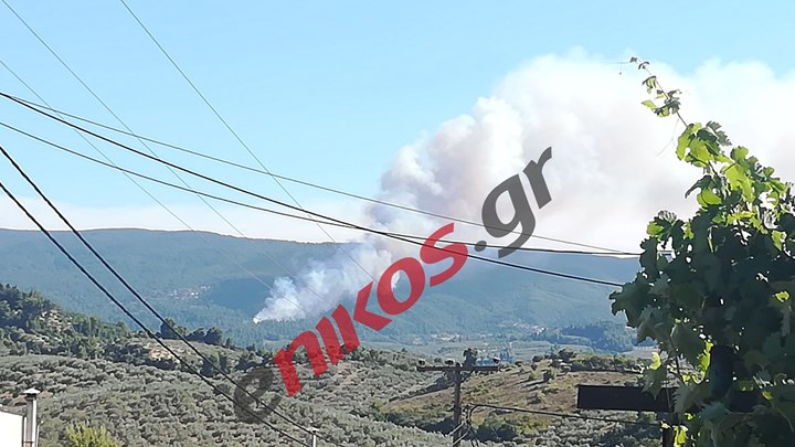 Οι πρώτες εικόνες από τη φωτιά στην Ιστιαία – ΦΩΤΟ-ΒΙΝΤΕΟ αναγνώστη