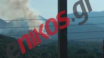 Οι πρώτες εικόνες από την φωτιά στα Καλάβρυτα – ΦΩΤΟ αναγνώστη