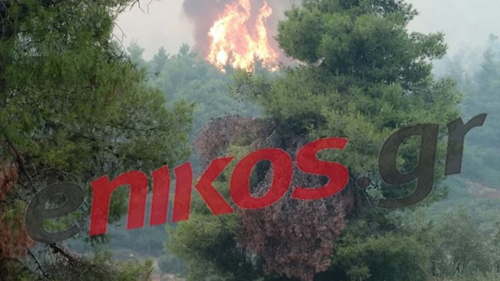 Νέες εικόνες από τη φωτιά που μαίνεται στο Μακρυμάλλη Ευβοίας – ΦΩΤΟ αναγνώστη