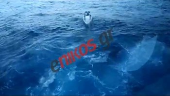 Αίσιο τέλος για τους επιβαίνοντες της μηχανοκίνητης λέμβου στα ανοικτά της Γυάρου – ΒΙΝΤΕΟ αναγνώστη