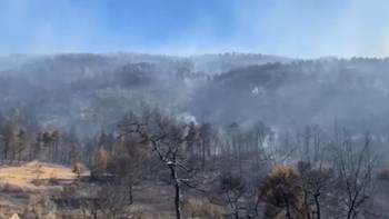 Σοκάρουν οι εικόνες καταστροφής από τη μεγάλη πυρκαγιά στην Εύβοια – ΒΙΝΤΕΟ