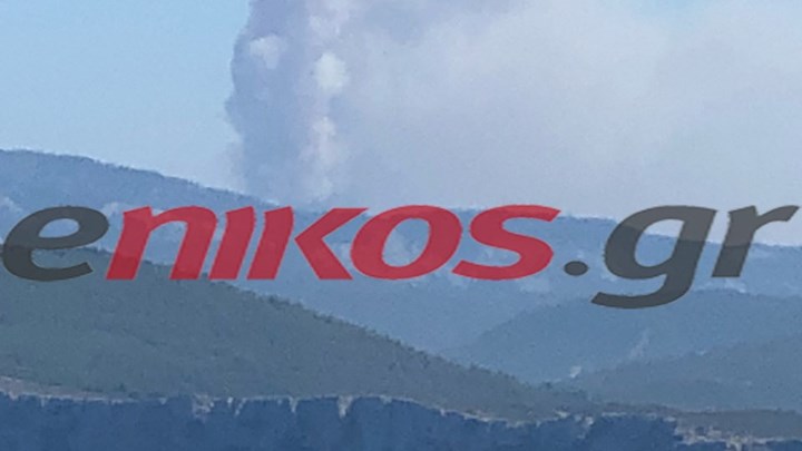 Η φωτιά στην Εύβοια από την Αγία Άννα – ΦΩΤΟ  αναγνώστη