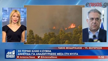 Θεοδωρικάκος: Αποφύγαμε τα χειρότερα, τεράστια οικολογική καταστροφή – ΒΙΝΤΕΟ