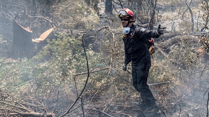 Tεράστια οικολογική καταστροφή από την πύρινη κόλαση στην Εύβοια – Σοκάρουν οι εικόνες – ΦΩΤΟ