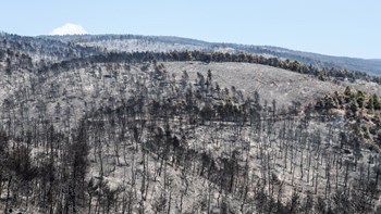 Χωρίς ενεργό μέτωπο η φωτιά στην Εύβοια – Μάχη για την οριοθέτηση της