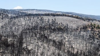 Συνεχίζεται η κατάσβεση στην κεντρική Εύβοια – Παραμένει στην περιοχή το σύνολο των πυροσβεστικών δυνάμεων