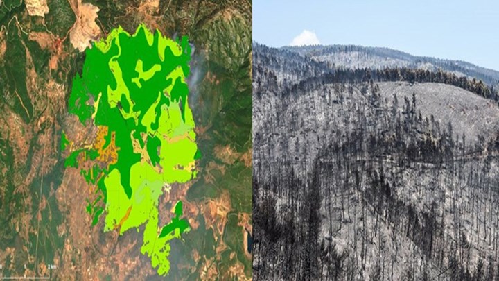 Σύστημα Cοperrnicus: Συγκλονίζει η εικόνα από τα καμένα της Εύβοιας – ΦΩΤΟ