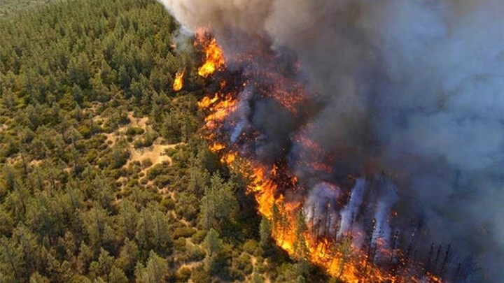Αυτό είναι το προφίλ του εμπρηστή στην Ελλάδα – Τι δείχνουν τα στοιχεία από δασικές πυρκαγιές