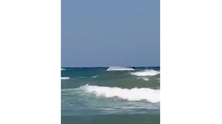 Συναγερμός στις Γούρνες: Πέντε κολυμβητές κινδύνεψαν να πνιγούν – Ανάμεσά τους και ένα παιδί – ΒΙΝΤΕΟ