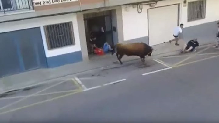 Νεκρός άνδρας έπειτα από επίθεση ταύρου – ΣΚΛΗΡΕΣ εικόνες – ΒΙΝΤΕΟ