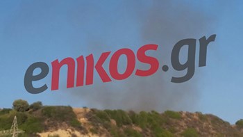 Οι πρώτες εικόνες από τη φωτιά στην Κεφαλονιά – ΦΩΤΟ και ΒΙΝΤΕΟ αναγνώστη