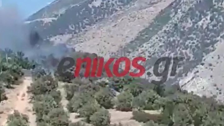 Υπό μερικό έλεγχο οι πυρκαγιές σε Αντίκυρα και Ορχομενό