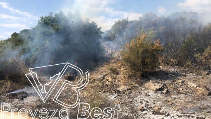 Πυρκαγιά στον Λούρο Πρέβεζας – ΤΩΡΑ