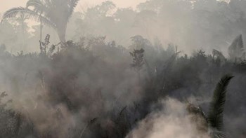 Παγκόσμια ανησυχία για τις φωτιές στον Αμαζόνιο – 2.500 νέες εστίες μέσα σε 48 ώρες – Δριμεία επίθεση Μπολσονάρου σε Μακρόν