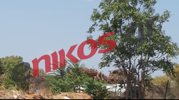 Καταγγελία αναγνώστη για παρατημένα ξύλα στου Παπάγου – ΦΩΤΟ