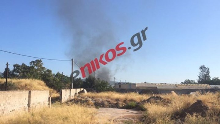 Φωτιά στη Λυκόβρυση – Οι άνεμοι προβληματίζουν τους πυροσβέστες – ΒΙΝΤΕΟ & ΦΩΤΟ αναγνωστών