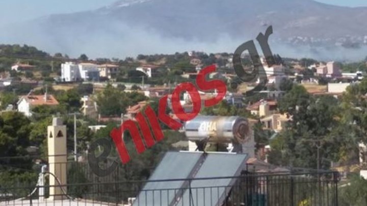 Οι πρώτες εικόνες από τη φωτιά στην Αρτέμιδα – ΦΩΤΟ και ΒΙΝΤΕΟ αναγνώστη