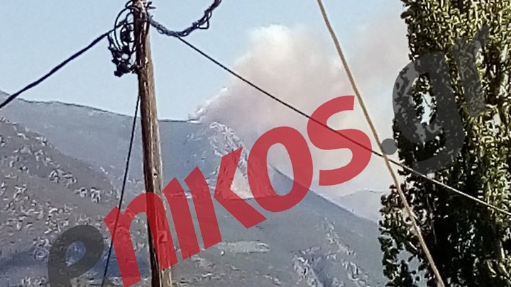 Οι πρώτες εικόνες από τη φωτιά στους Δελφούς – ΦΩΤΟ αναγνώστη