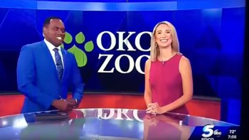 Σάλος στις ΗΠΑ: Παρουσιάστρια συνέκρινε τον συμπαρουσιαστή της με γορίλα