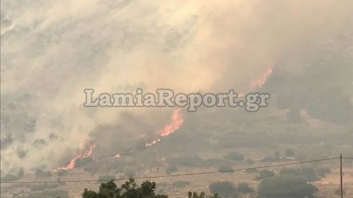 Εικόνες από τη μεγάλη φωτιά στους Δελφούς – Απειλείται ο Εθνικός Δρυμός του Παρνασσού – ΦΩΤΟ